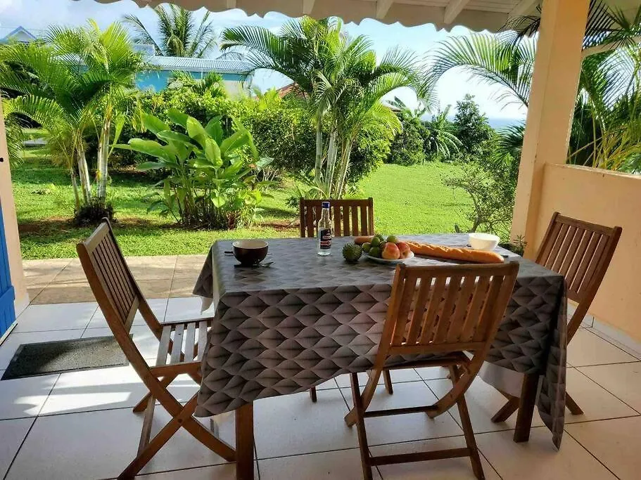 Bel Appartement T2 Avec Vue Sur Palmier Et Mer location
