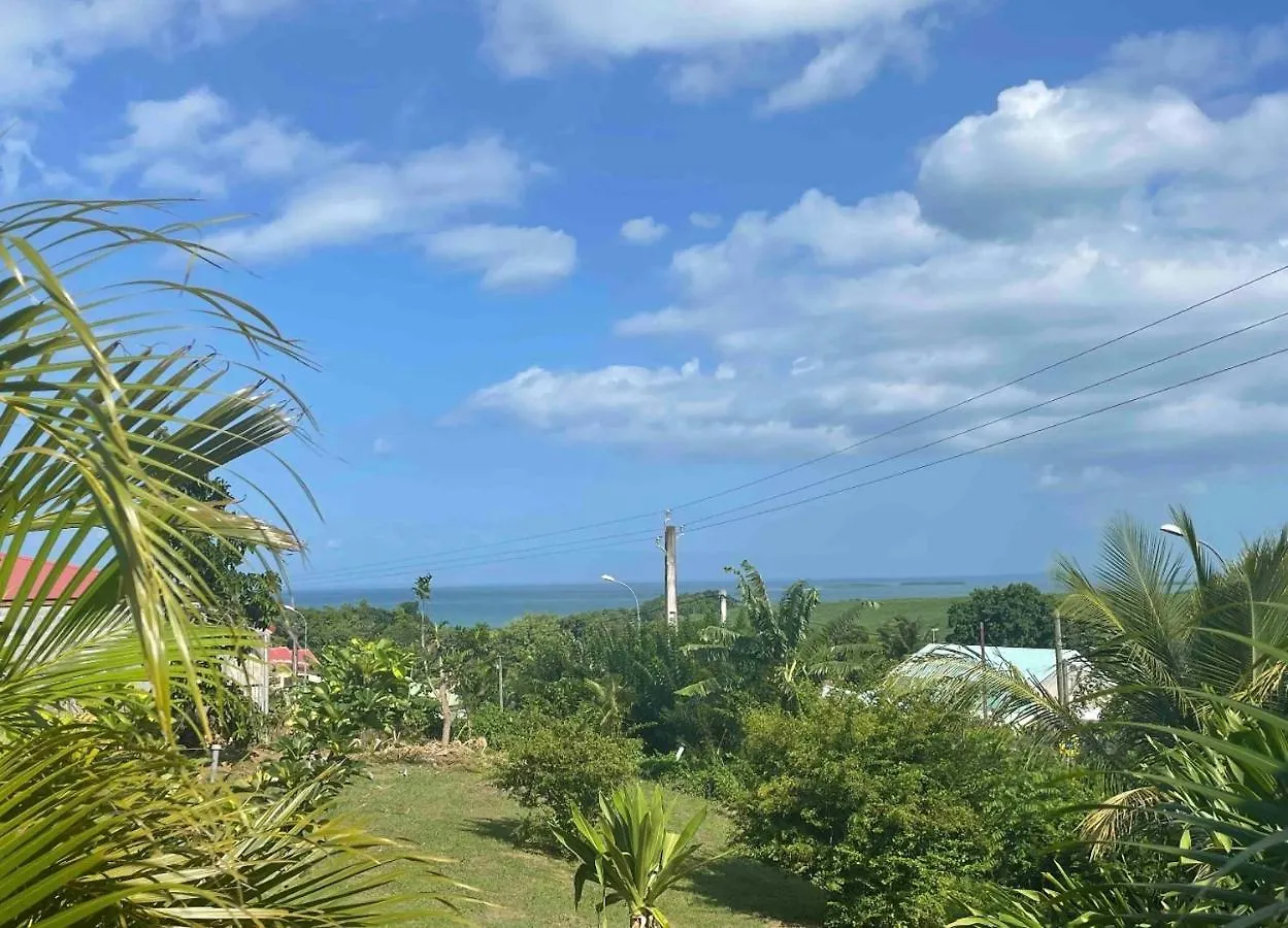 Apartamento Bel Appartement T2 Avec Vue Sur Palmier Et Mer Sainte-Rose